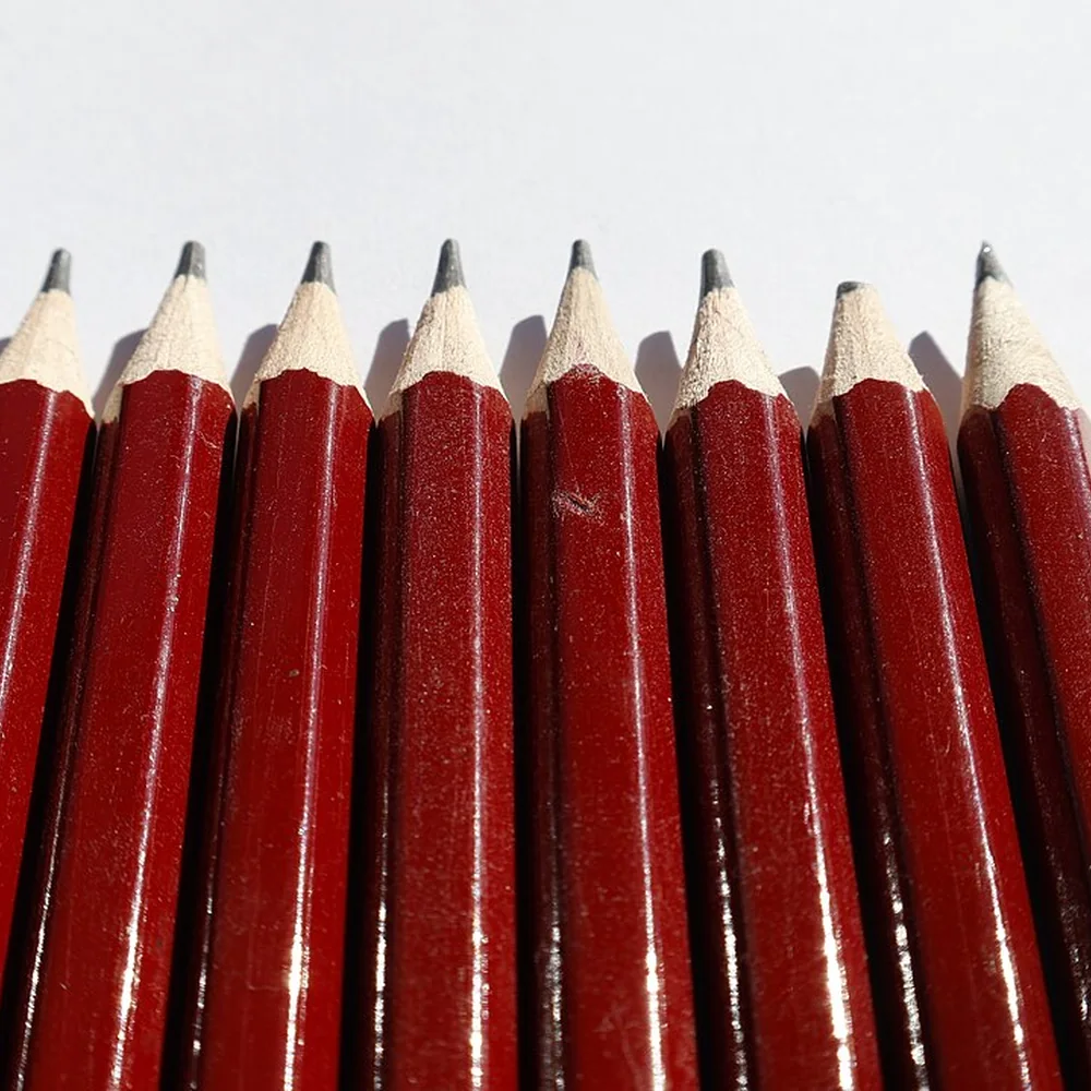 Professional Graphite Drawing Set